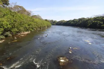 FEAP: Secretaria de Agricultura de SP baixa taxa de juros para pescadores afetados por tragédia ambiental no Rio Piracicaba