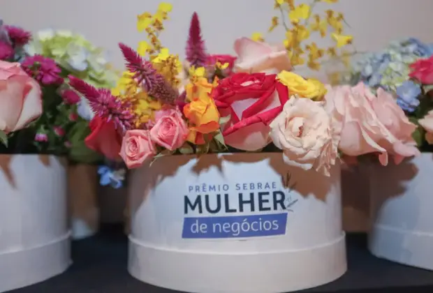 Inscrições abertas para o Prêmio Sebrae Mulher de Negócios