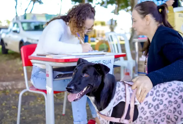 Ponto de vacina contra raiva estará no Bela Vista