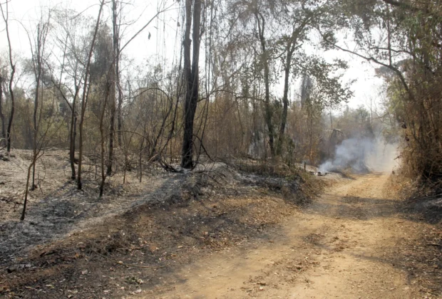 DEFESA CIVIL DE JAGUARIÚNA EMITE ALERTA SOBRE RISCO DE QUEIMADAS E CUIDADOS COM A SAÚDE DEVIDO AO TEMPO SECO