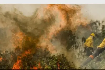 Fogo já consumiu 1,3 milhão de hectares e volta a aumentar no Pantanal