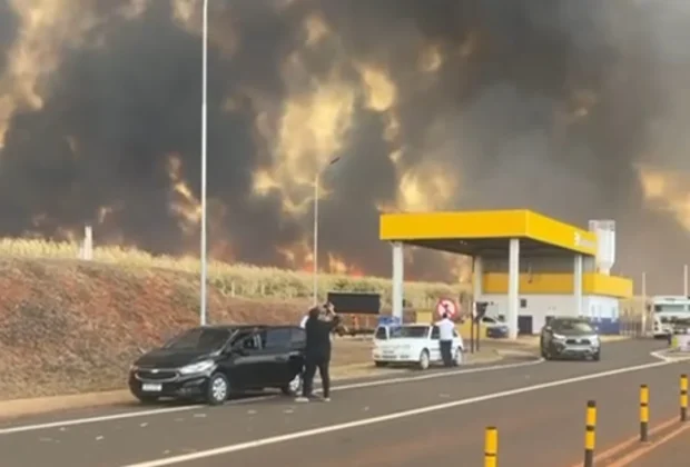 Altos Índices de Incêndio na Região de Campinas Afetam Qualidade do Ar