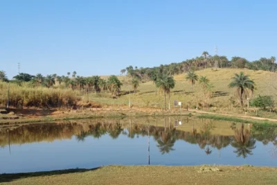 Inauguração: Novo Pesqueiro do Batata em Santo Antônio de Posse Oferece Lazer em Meio à Natureza