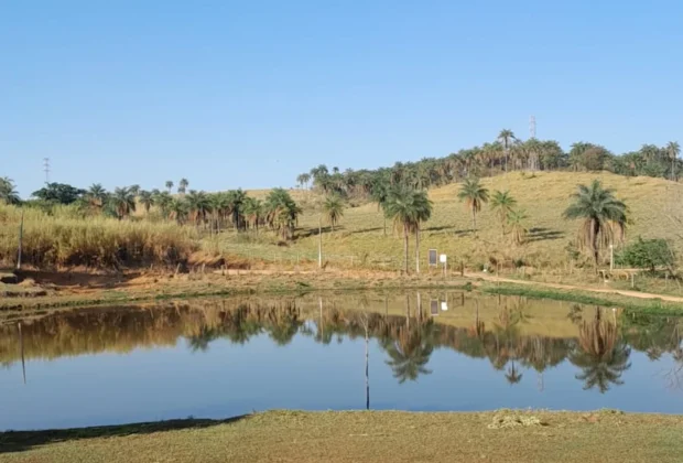 Inauguração: Novo Pesqueiro do Batata em Santo Antônio de Posse Oferece Lazer em Meio à Natureza