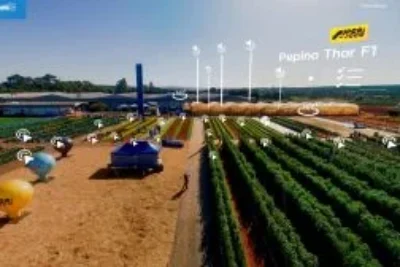 Novidades da horticultura na palma da mão: Agristar disponibiliza principal dia de campo em formato digital