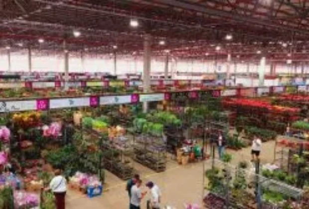 Ao completar cinco anos, Ceaflor ratifica-se como o maior mercado de flores, plantas e acessórios do Brasilm ao varejo