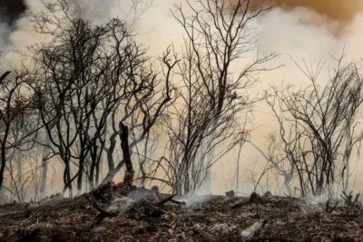 Fumaça da Amazônia e clima de deserto deixam Brasil em Alerta