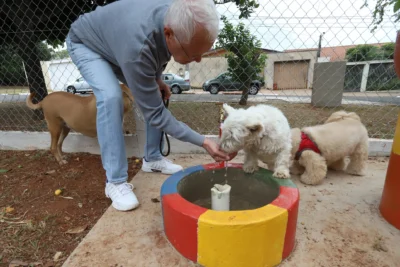 Saiba como proteger a saúde do pet em períodos de calor extremo e clima seco