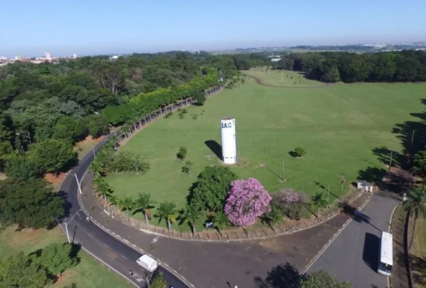 Deputado contra leilão de área do Instituto Agrônomo cobra explicações de secretário de Tarcísio
