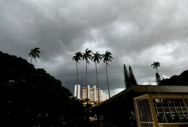 Região de Campinas pode ter chuva forte entre sexta-feira (18) e domingo (20)