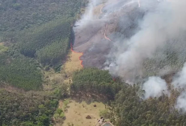 Incêndio em Amparo entra no quinto dia e devasta área de mata nativa