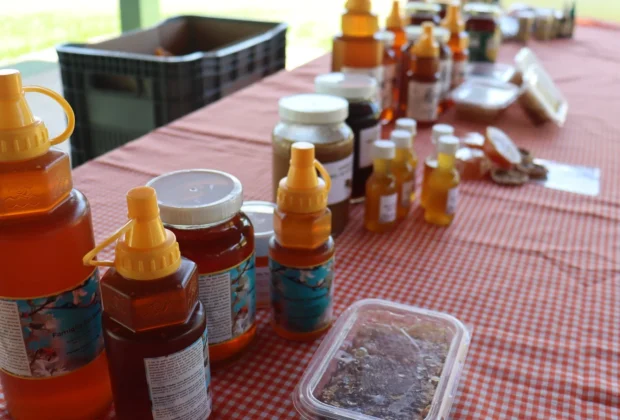 SENAR e Associação dos Apicultores do Município de Pedreira, realizou o Curso de Produção de Mel