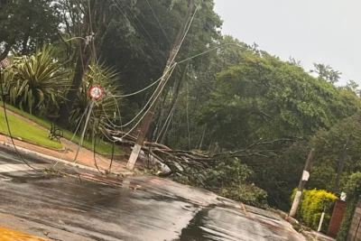  Forte Temporal Causa Estragos e Mobiliza Equipes em Holambra