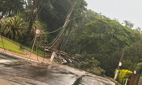  Forte Temporal Causa Estragos e Mobiliza Equipes em Holambra