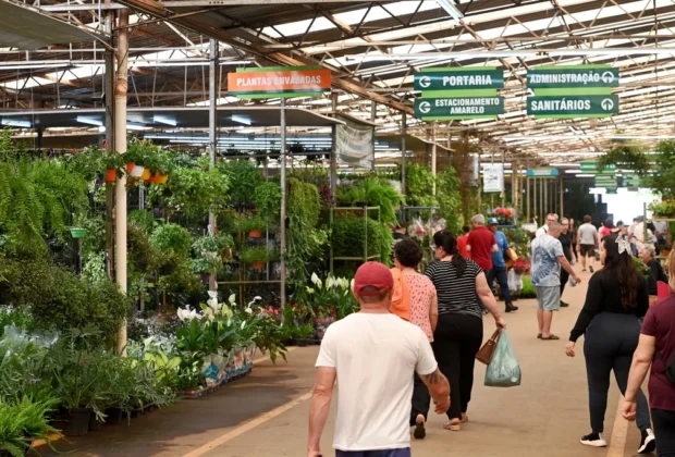 Mercado de Flores da Ceasa pode ser boa opção de lazer para este feriado.