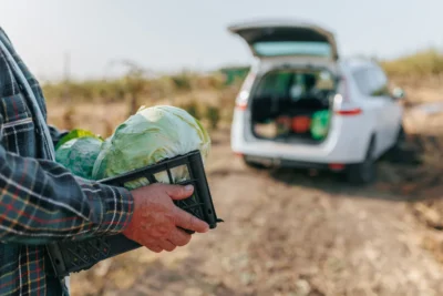 Conheça os principais veículos para uso no campo pelo produtor rural