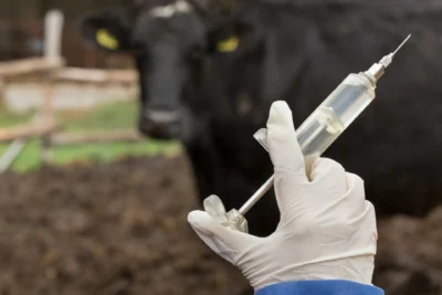 Controle sanitário do gado é mais rápido com uma boa farmácia na fazenda