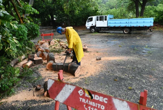 Prefeitura de Campinas mantém parques e bosques fechados após alto índice acumulado de chuvas.