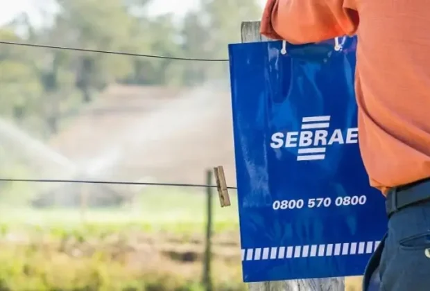 Sebrae-SP abre inscrições para 23 vagas para bolsistas de Agentes Locais de Inovação na região de Campinas