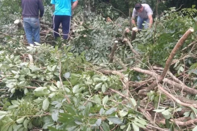 Secretarias e departamentos municipais têm dia de mobilização para conter danos da forte chuva