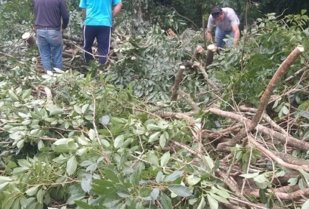 Secretarias e departamentos municipais têm dia de mobilização para conter danos da forte chuva