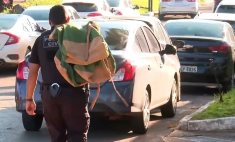 Operação Desmonta Esquema de Tráfego de Drogas Escondidas em Caminhões de Flores