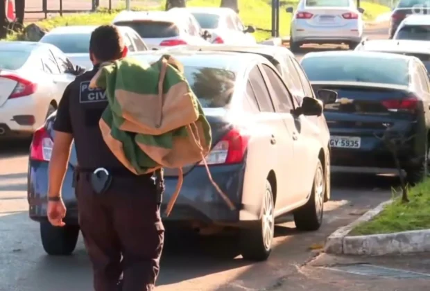 Operação Desmonta Esquema de Tráfego de Drogas Escondidas em Caminhões de Flores