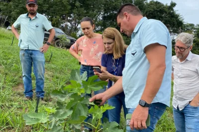 Estudo detalha caminhos para a agricultura de Valinhos