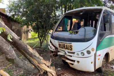 Ônibus de Transporte Rural Bate em Árvore e Deixa  Feridos em Santo Antônio de Posse