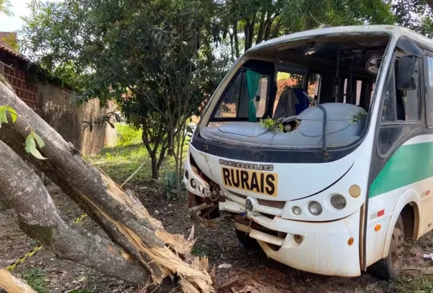 Ônibus de Transporte Rural Bate em Árvore e Deixa  Feridos em Santo Antônio de Posse