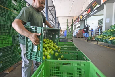 Produção tropical e alta procura impulsionam a variação de preços de hortifrúti na Ceasa Campinas
