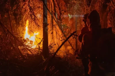 Brasil bateu recorde de incêndios em 2024