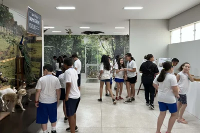 Museus de Itapira registram bons resultados de visitação em 2024