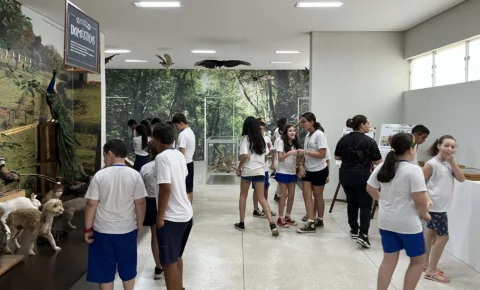 Museus de Itapira registram bons resultados de visitação em 2024