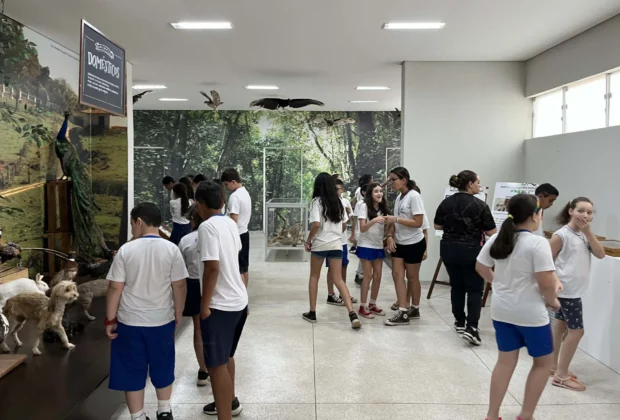 Museus de Itapira registram bons resultados de visitação em 2024