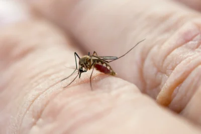 Amparo confirma o 9º óbito por suspeita de dengue