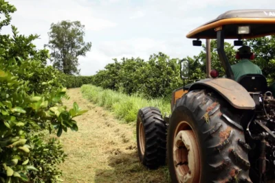 São Paulo registra superávit de R$ 150 bilhões e lidera exportação agropecuária no país em 2024