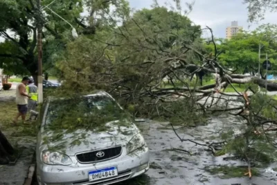 TEMPORAL EM CAMPINAS: CHUVA FORTE CAUSA TRANSTORNOS E FECHAMENTO DO BOSQUE