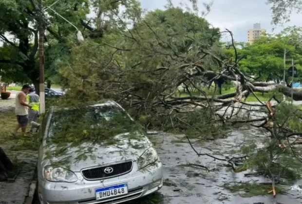 TEMPORAL EM CAMPINAS: CHUVA FORTE CAUSA TRANSTORNOS E FECHAMENTO DO BOSQUE