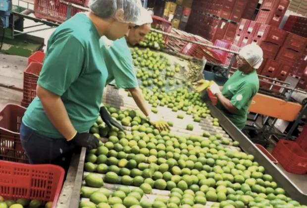 Prefeitura lança projeto “Posse do Agro”