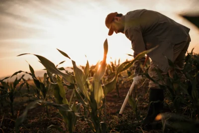 Segurança no trabalho rural: desafios, riscos e medidas importantes