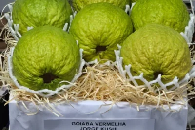 Prefeitura de Cosmópolis celebra conquistas de produtor rural na Festa do Figo e Expogoiaba!