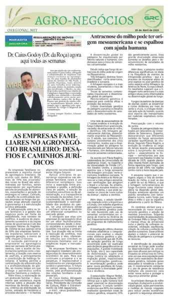 Homem do Campo 25-04-25