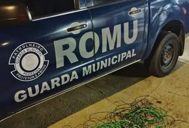 Preso em Flagrante! Guarda Municipal de Pedreira Detém Ladrão de Cobre no Jardim Ypê