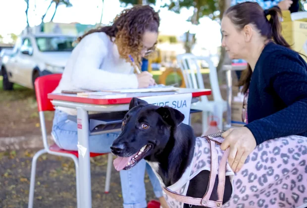 Prefeitura vacina cães e gatos contra raiva nesta quarta e quinta
