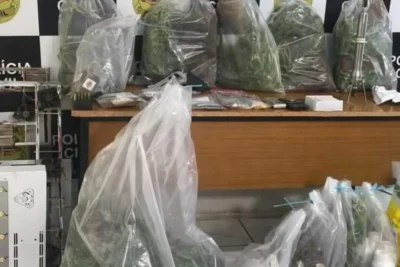 Trio é preso em Mogi Guaçu com estufa de maconha e R$ 500 mil em drogas