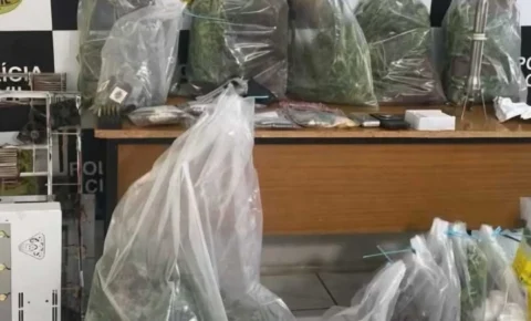 Trio é preso em Mogi Guaçu com estufa de maconha e R$ 500 mil em drogas