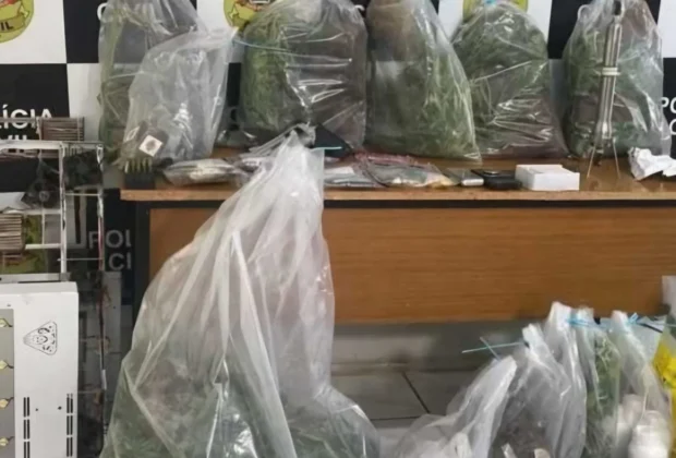 Trio é preso em Mogi Guaçu com estufa de maconha e R$ 500 mil em drogas