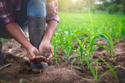 Produtores rurais da região de Campinas já podem se inscrever no ALI Rural