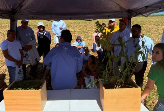 Dia de Campo encerra 5ª Campanha Calagem de Outono em Artur Nogueira